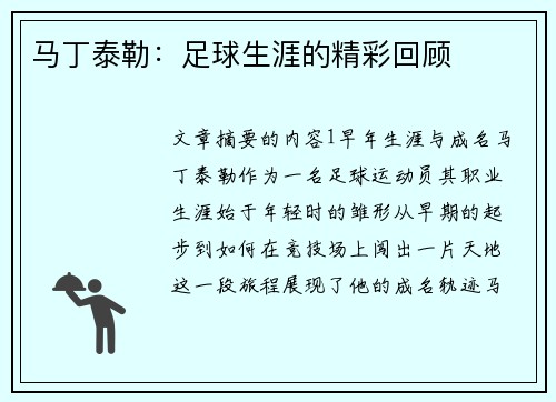马丁泰勒：足球生涯的精彩回顾